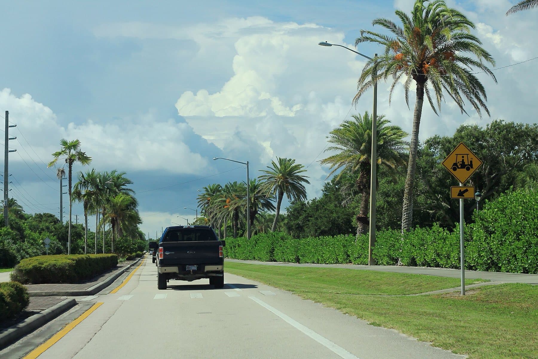 Golf cart crossing sign on Florida's A1A, palms overhead